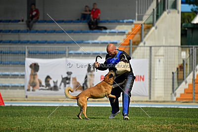 Aisen vom Schopperweg