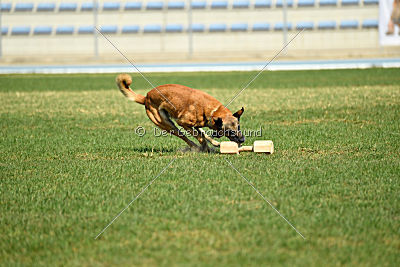 Aisen vom Schopperweg