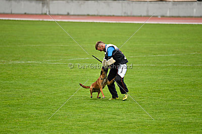 Aiva vom Weinbergland