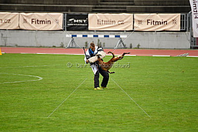 Aiva vom Weinbergland