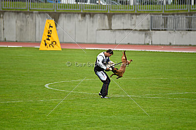 Aiva vom Weinbergland