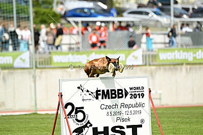 Aiva vom Weinbergland