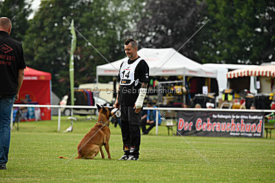 Aiven van de Twentehoeve