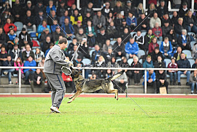 Ajahnique Magna Pesna