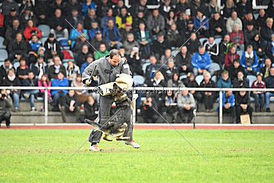 Ajahnique Magna Pesna