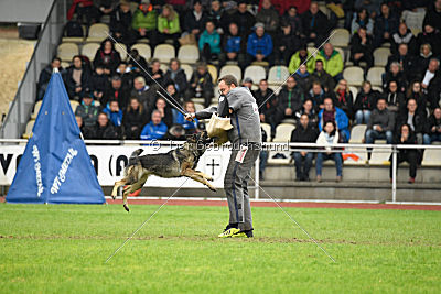 Ajahnique Magna Pesna