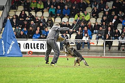 Ajahnique Magna Pesna