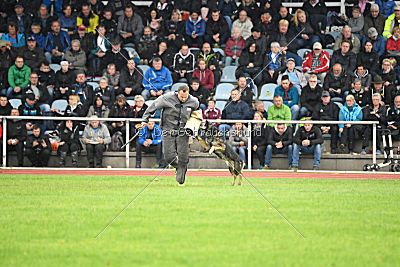 Ajahnique Magna Pesna