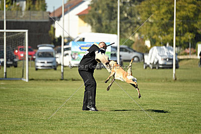 Akemi vom Phönixblut