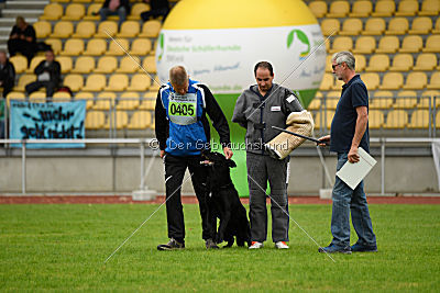 Akim vom Clauser Tal