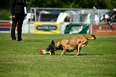 Akito von der Klassikerstadt