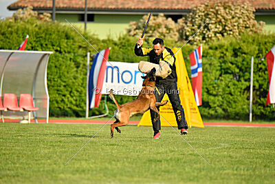 Al Capone Lumon Miradam