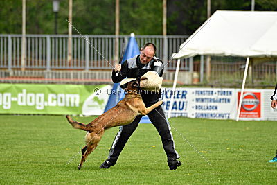 Al Dente vom Buxtehuder Bullen