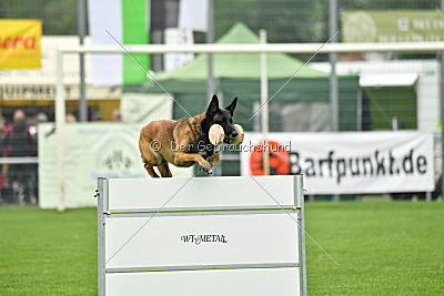 Al Dente vom Buxtehuder Bullen