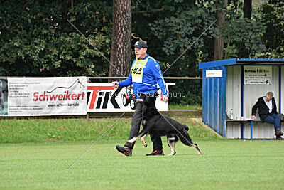Al Pacino vom Peiner Burgpark