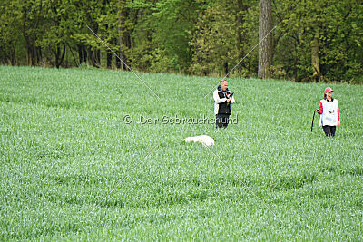 Albus Lupus Ul-Po Csilla