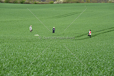 Albus Lupus Ul-Po Csilla