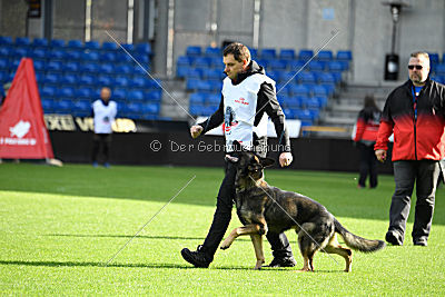 Alcatraz vom Wolfsgraben