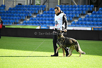 Alcatraz vom Wolfsgraben