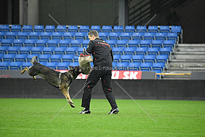 Alcatraz vom Wolfsgraben