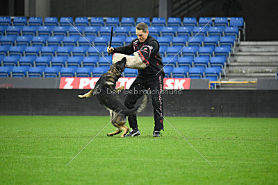 Alcatraz vom Wolfsgraben