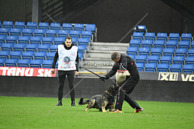 Alcatraz vom Wolfsgraben