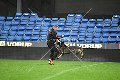 Alcatraz vom Wolfsgraben