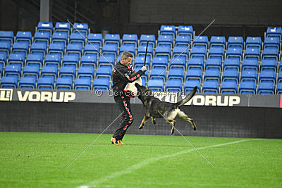 Alcatraz vom Wolfsgraben