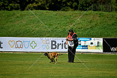 Alexa von der Lilienwiese