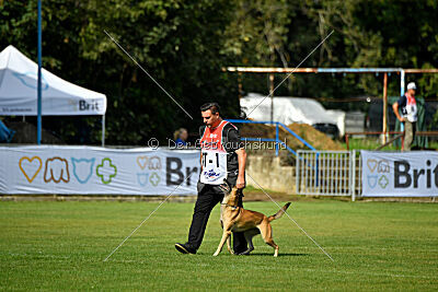 Alexa von der Lilienwiese