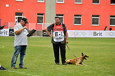 Alexa von der Lilienwiese