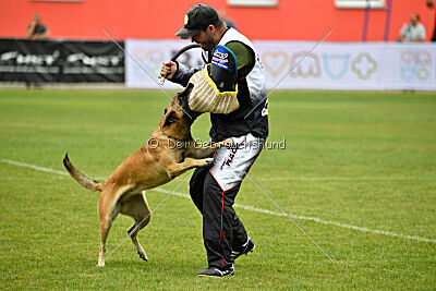 Alexa von der Lilienwiese