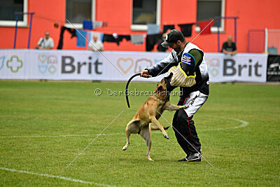 Alexa von der Lilienwiese