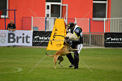 Alexa von der Lilienwiese