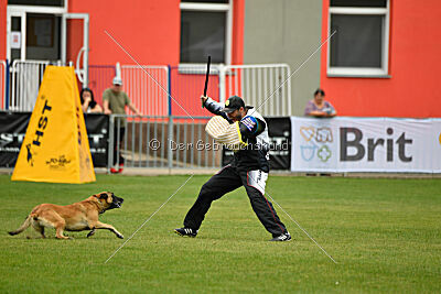 Alexa von der Lilienwiese