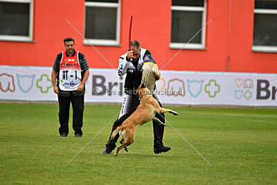 Alexa von der Lilienwiese