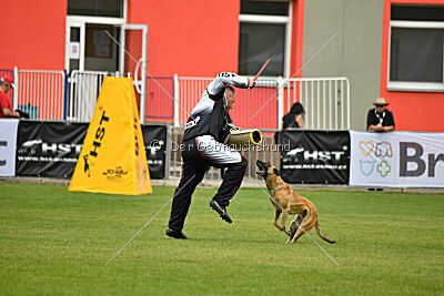 Alexa von der Lilienwiese