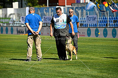 Alexa von der Lilienwiese