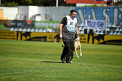 Alexa von der Lilienwiese