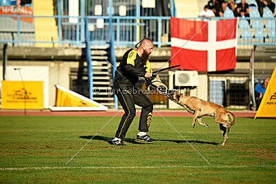 Alexa von der Lilienwiese