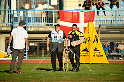 Alexa von der Lilienwiese