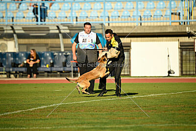 Alexa von der Lilienwiese