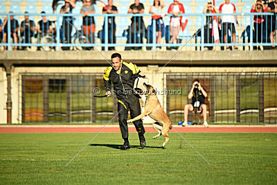 Alexa von der Lilienwiese