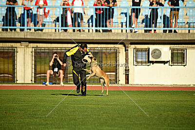 Alexa von der Lilienwiese