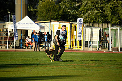 Alexa von der Lilienwiese