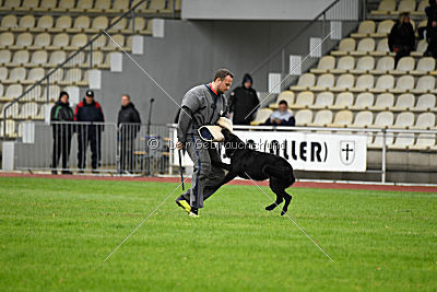 Alf von Sitara