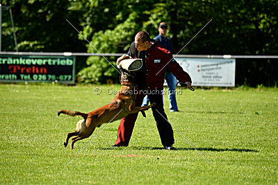 Alfons ex mera passio