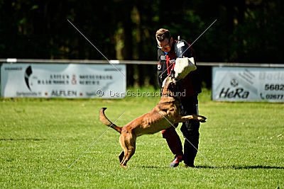 Alfons ex mera passio