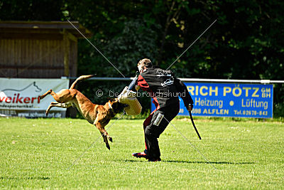 Alfons ex mera passio