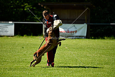 Alfons ex mera passio